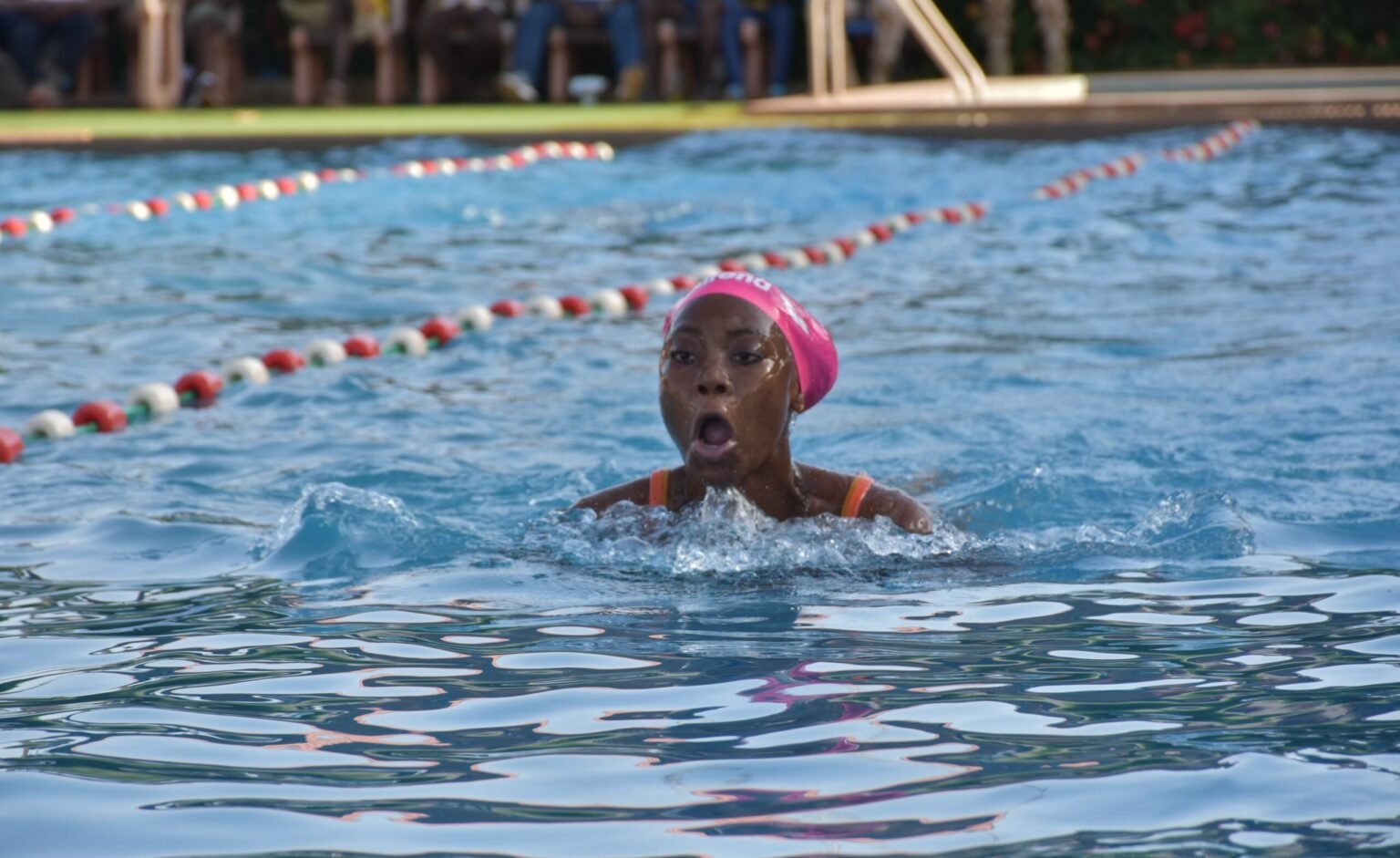 Natation: les différents champions de l’année connus