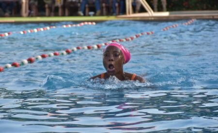 Natation: les différents champions de l’année connus